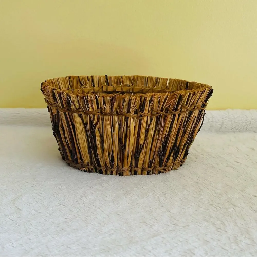 Pier 1 Imports Basket Storage Organizer Bath Office Decorative
